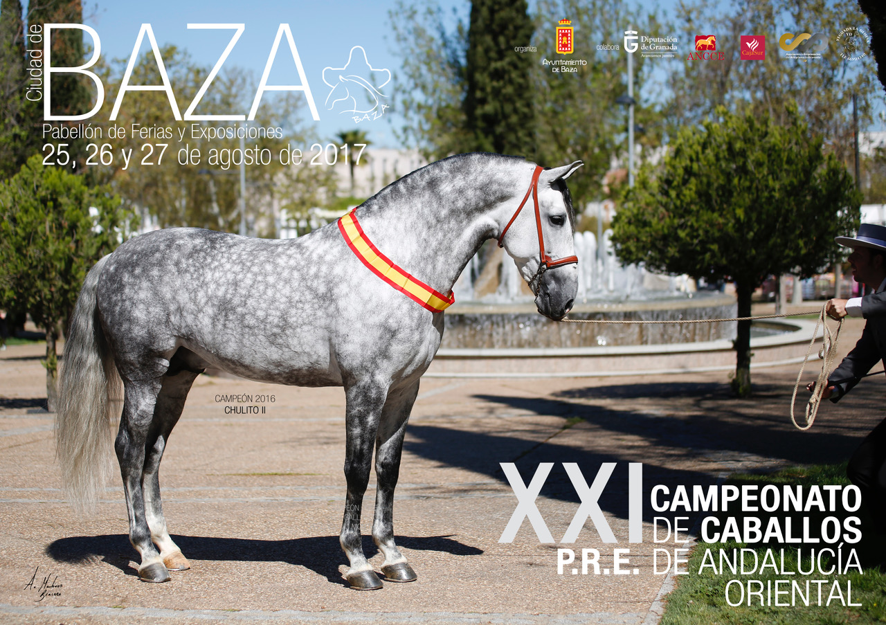 Cartel Caballos 2017 BAZA
