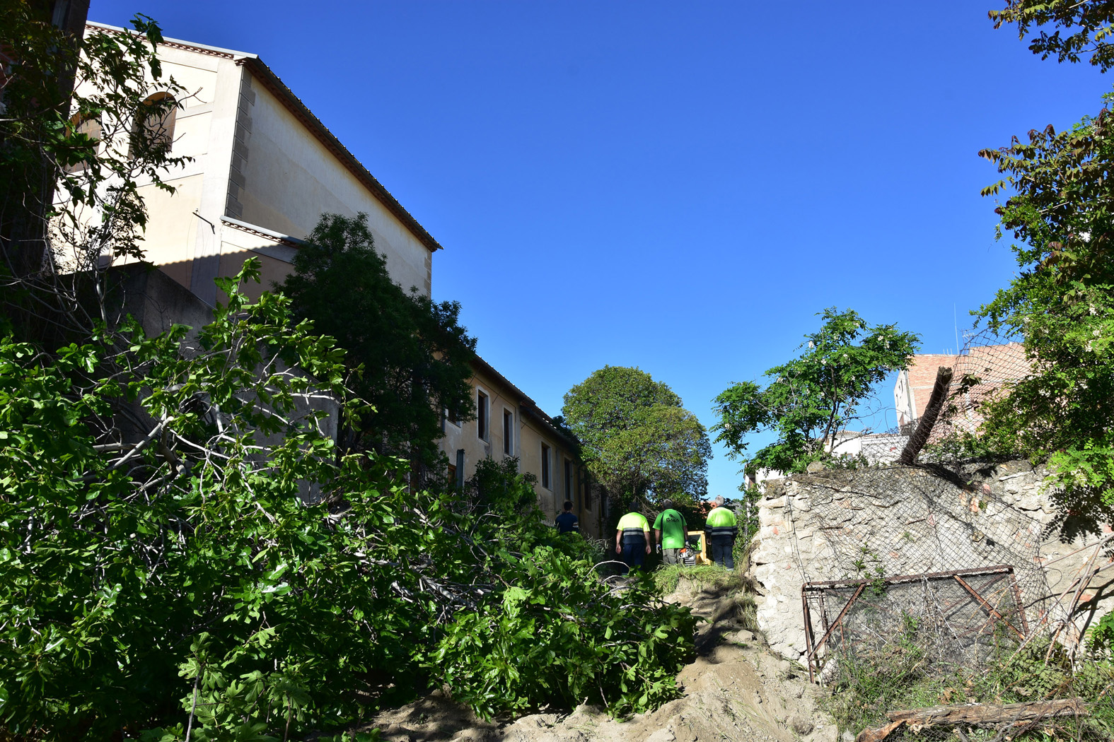 Desbroce solar junto teatro Dengra
