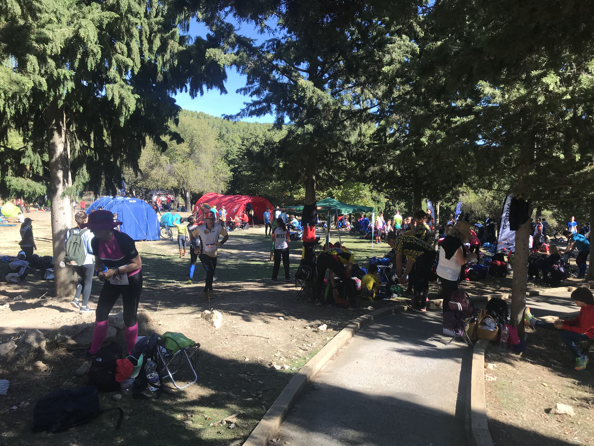 orientacion sierra web