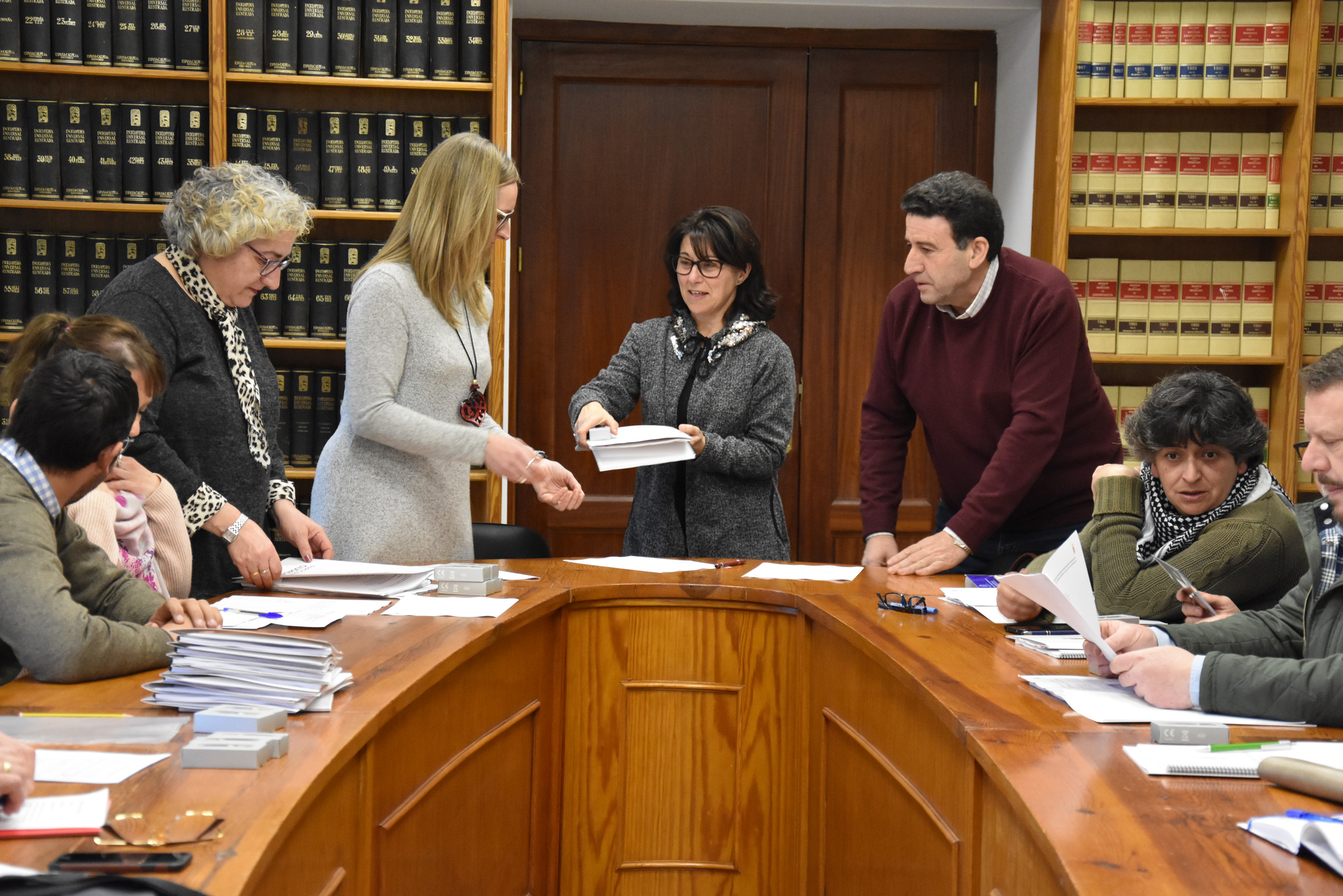 consejo participacion ciudadana