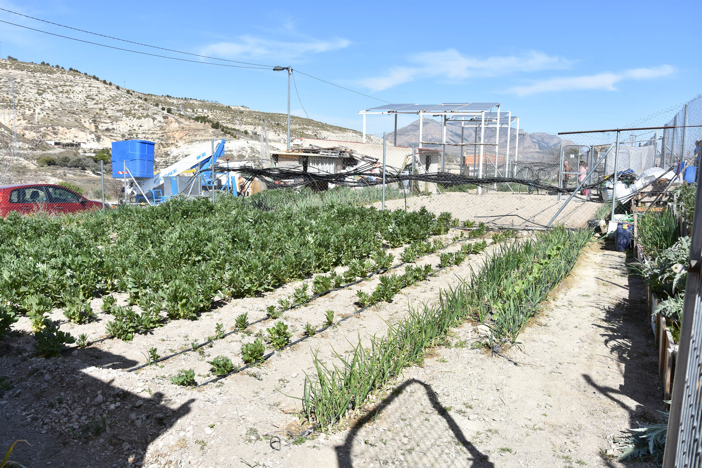 Huerto Social de Fuente Tapia