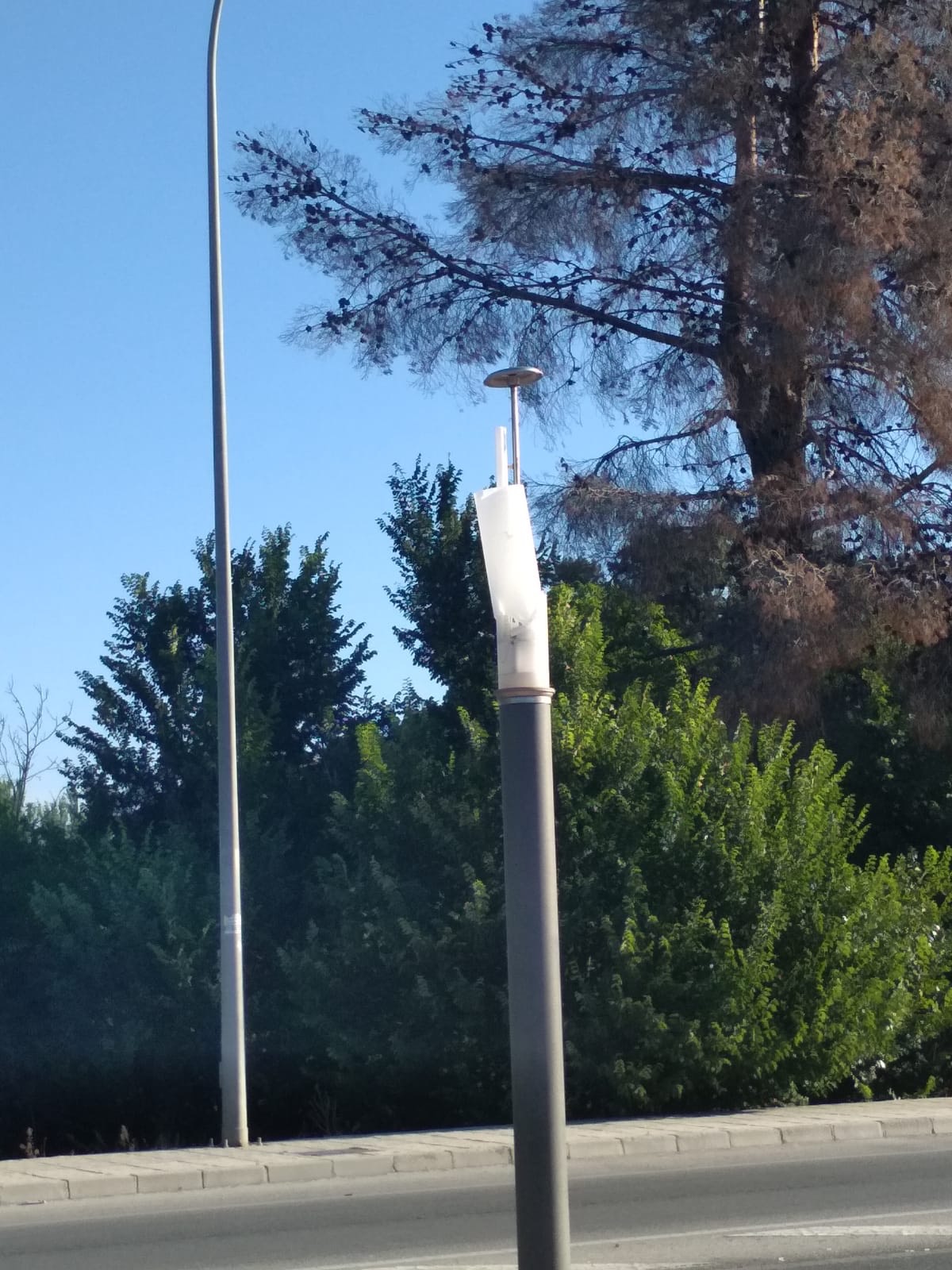 farola carril bici 1